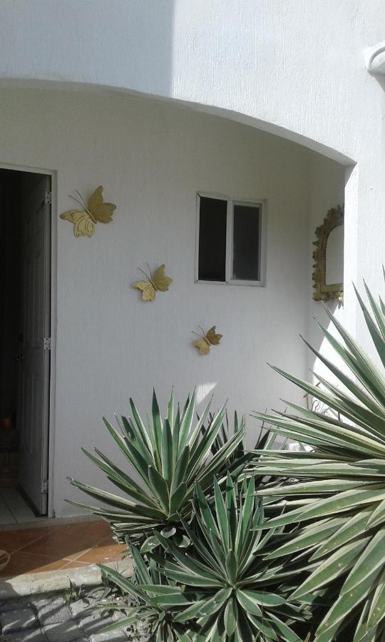 Casa Mariposas Lägenhet Cancún Exteriör bild